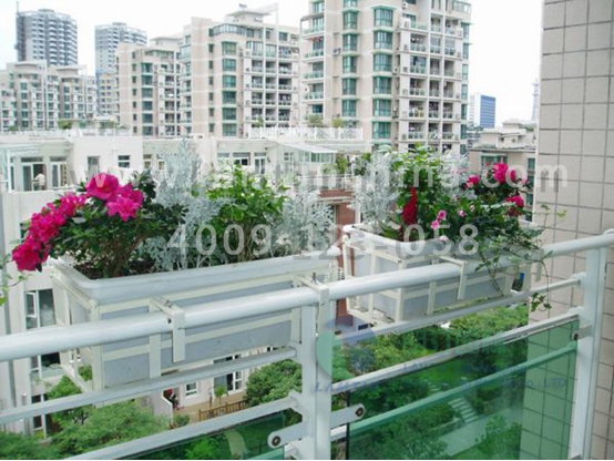 護(hù)欄綠化 護(hù)欄綠化