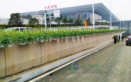 護(hù)欄綠化 護(hù)欄綠化