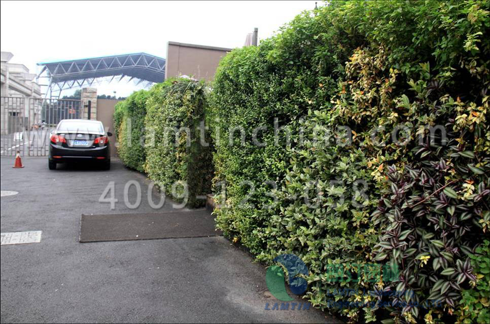 墻體綠化花盆 墻體綠化花盆