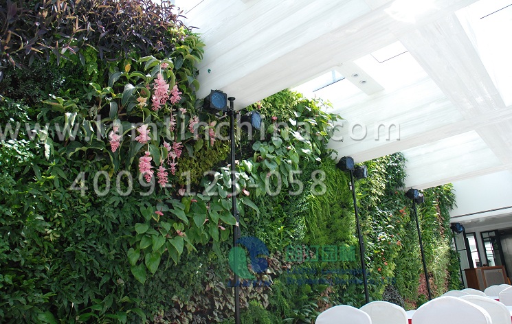 墻體綠化花盆 墻體綠化花盆