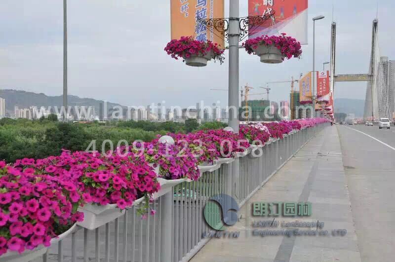 護欄綠化 護欄綠化