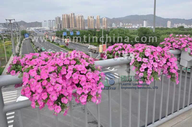 護欄綠化 護欄綠化