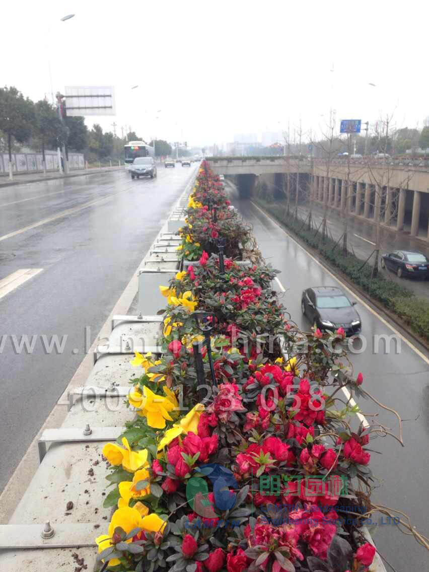 護欄綠化 護欄綠化