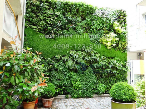 墻體綠化花盆 墻體綠化花盆