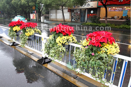 護(hù)欄綠化 護(hù)欄綠化
