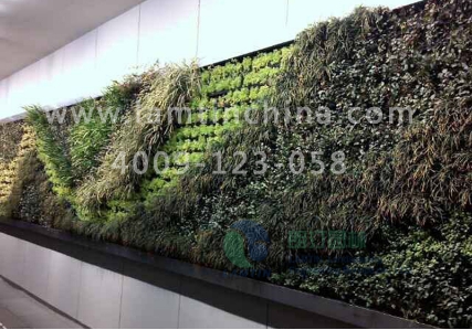 墻體綠化花盆 墻體綠化花盆