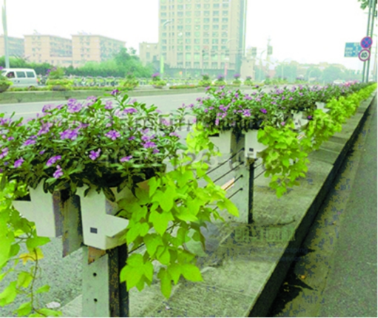 護欄綠化 護欄綠化