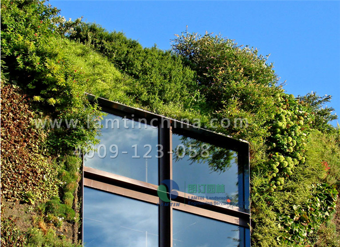 墻體綠化花盆 墻體綠化花盆