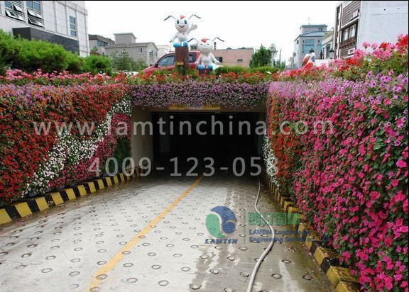 墻體綠化花盆 墻體綠化花盆