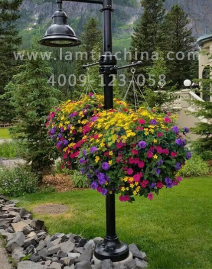 燈桿綠化 燈桿綠化