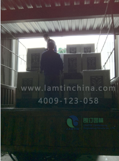 朗汀園林 朗汀園林