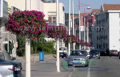 燈桿綠化 燈桿綠化