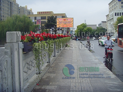 護欄綠化 護欄綠化