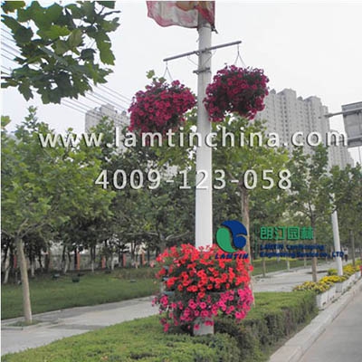 燈桿綠化 燈桿綠化