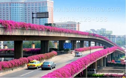 高架橋綠化 高架橋綠化