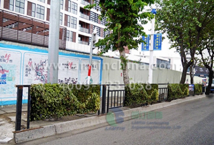 護(hù)欄綠化 護(hù)欄綠化