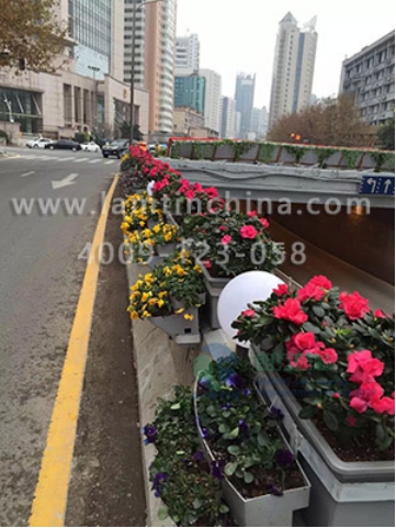 護(hù)欄綠化 護(hù)欄綠化