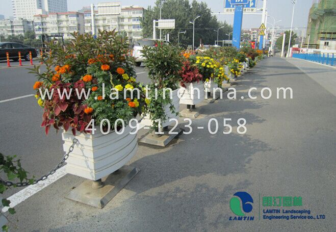 花箱 花箱