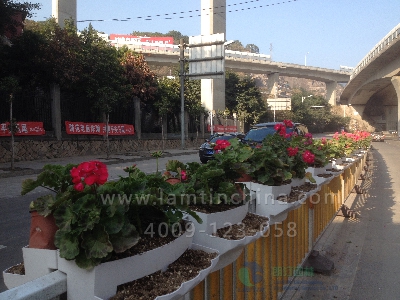 護(hù)欄綠化 護(hù)欄綠化