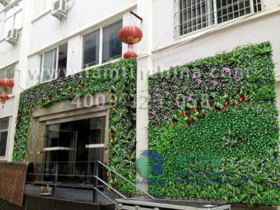 仿真植物墻 仿真植物墻