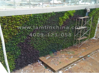 墻體綠化花盆 墻體綠化花盆