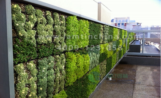 立體綠化花盆 立體綠化花盆