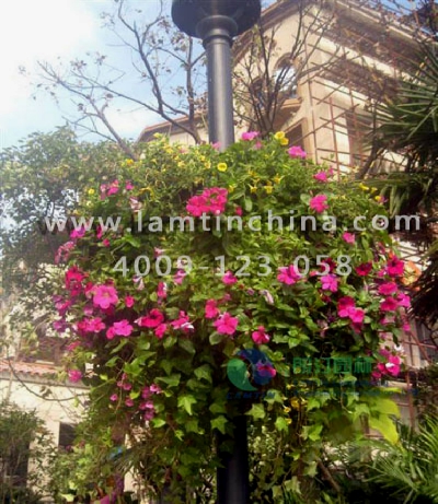 立體綠化花盆 立體綠化花盆