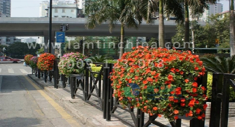 立體綠化花盆 立體綠化花盆