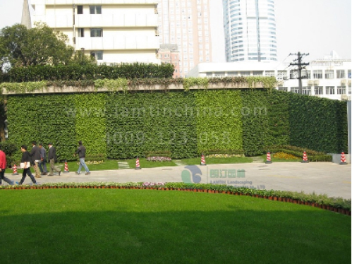 植物墻 植物墻