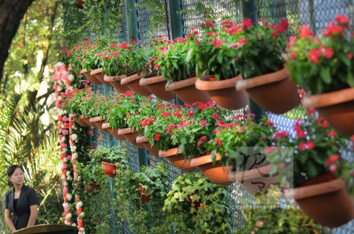 垂直綠化 垂直綠化