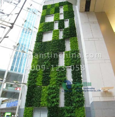 仿真植物墻 仿真植物墻
