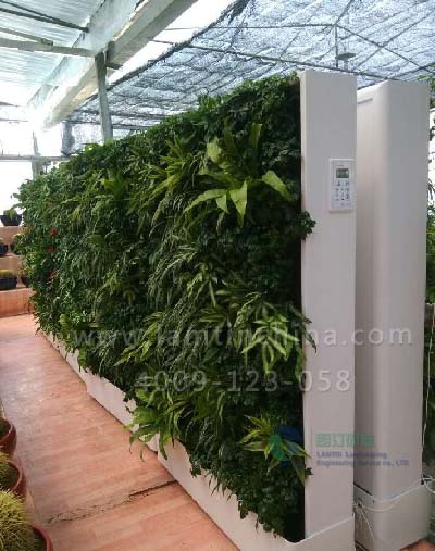 仿真植物墻 仿真植物墻