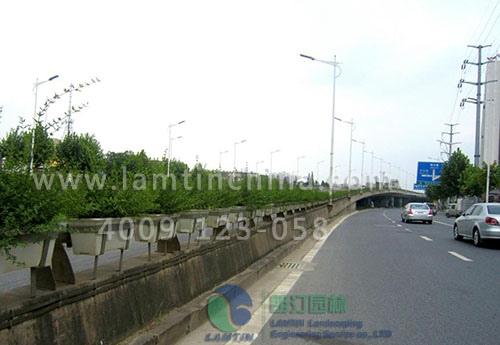 立體綠化花盆 立體綠化花盆