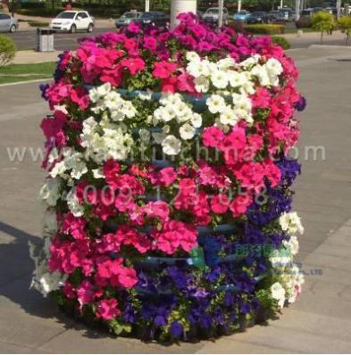 花柱種植盆 花柱種植盆