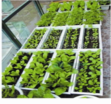 窗臺(tái)陽(yáng)臺(tái)綠化花盆 窗臺(tái)陽(yáng)臺(tái)綠化花盆