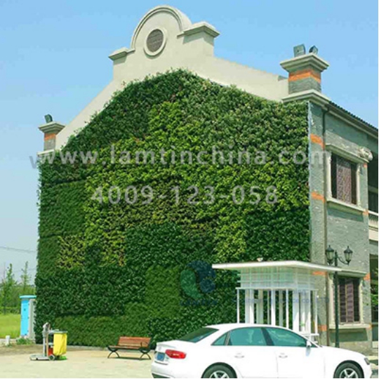 墻體綠化花盆 墻體綠化花盆