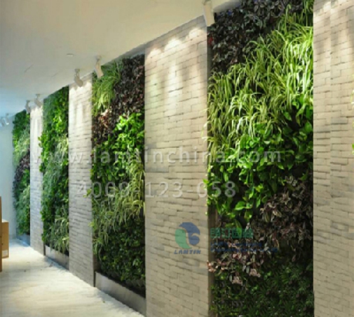 仿真植物墻 仿真植物墻