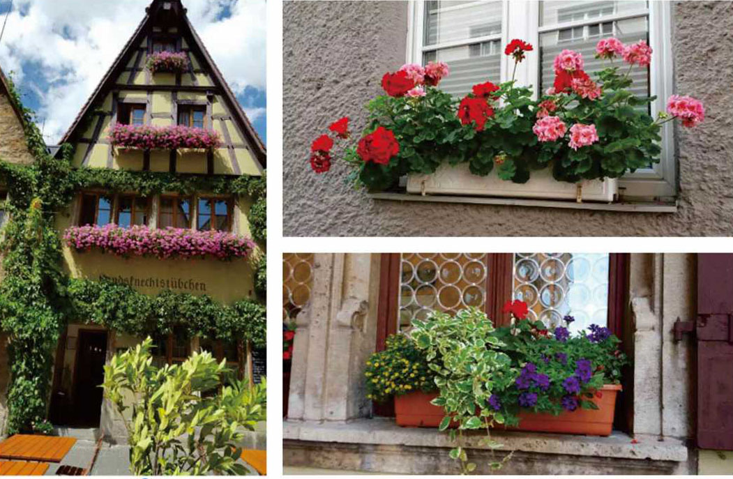 窗臺陽臺綠化花盆 窗臺陽臺綠化花盆