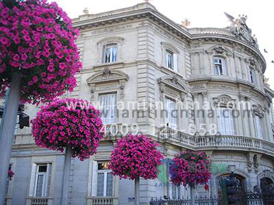 燈桿綠化花盆 燈桿綠化花盆