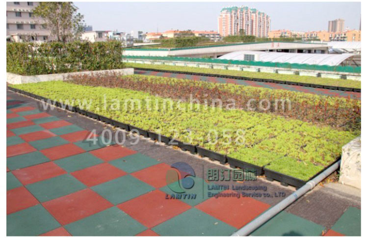 屋頂綠化花盆 屋頂綠化花盆