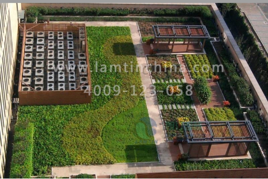 屋頂綠化花盆 屋頂綠化花盆