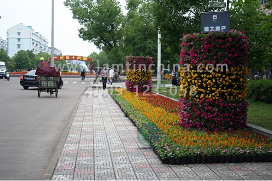 花柱組合花盆 花柱組合花盆