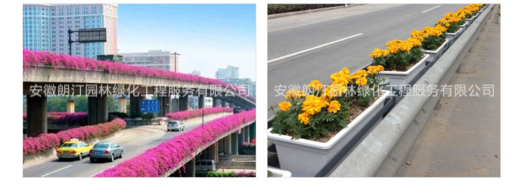 高架橋綠化 高架橋綠化