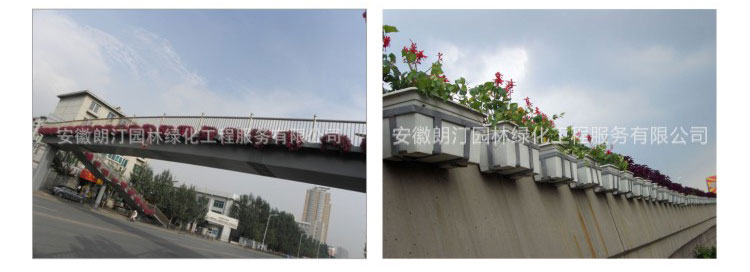 高架橋綠化花盆 高架橋綠化花盆