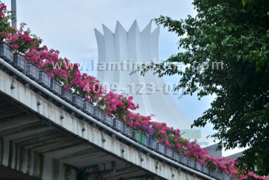 高架橋綠化 高架橋綠化