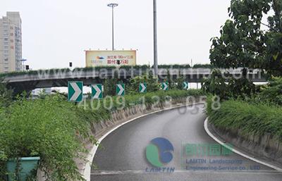 高架橋綠化 高架橋綠化