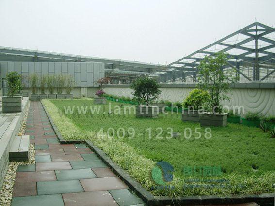 屋頂花盆 屋頂花盆