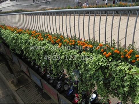 高架橋綠化 高架橋綠化