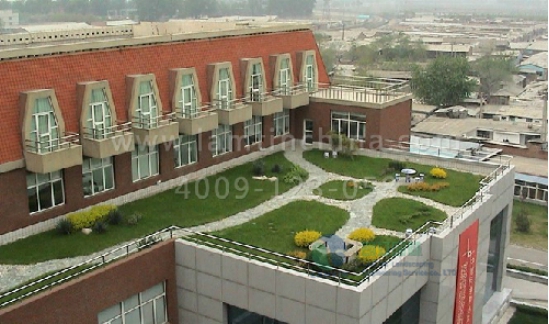 屋頂綠化 屋頂綠化