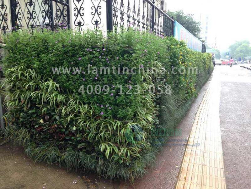 植物墻花盆 植物墻花盆